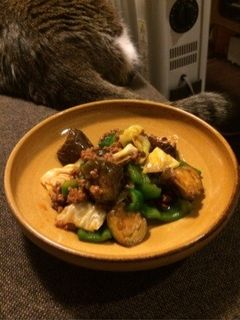 ナスと挽肉のピリ辛炒め-レシピのメイン写真