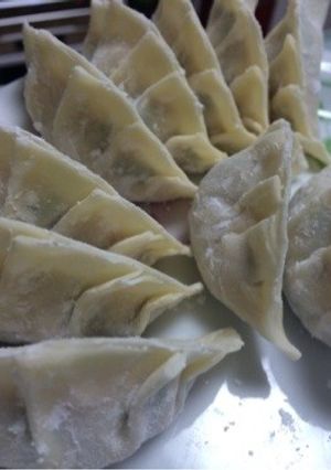 にんにく不要！激ウマやみつき餃子-レシピのメイン写真