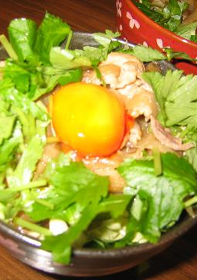 とろとろの新たまねぎがおいしい豚丼-レシピのメイン写真