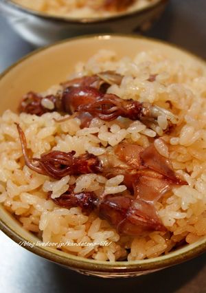 ホタルイカの炊き込みご飯-レシピのメイン写真