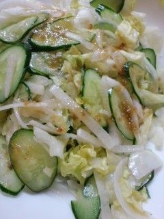 新タマネギ入り野菜たっぷりサラダ-レシピのメイン写真