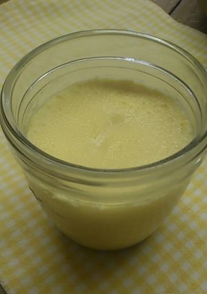 シラルガン圧力鍋で作るプリン-レシピのメイン写真