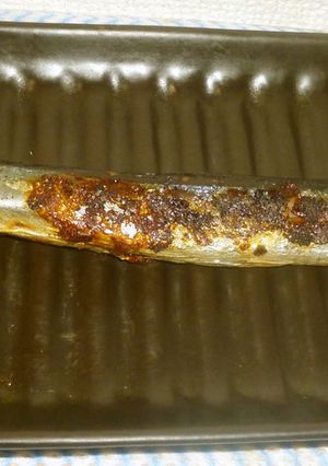 パパの焼き丸干しサンマ④-レシピのメイン写真
