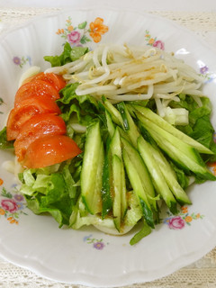 お野菜たっぷりサラダうどん-レシピのメイン写真