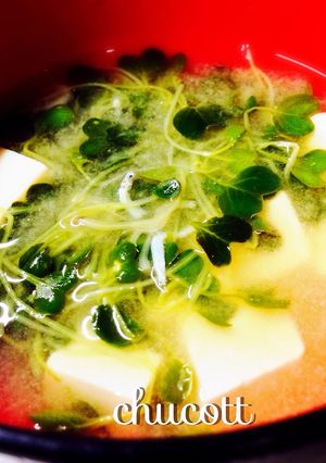 簡単♡貝割れ大根と豆腐のしらす入り味噌汁-レシピのメイン写真
