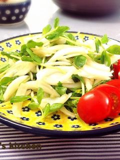 新玉ねぎと豆苗のさっぱり生姜サラダ-レシピのメイン写真