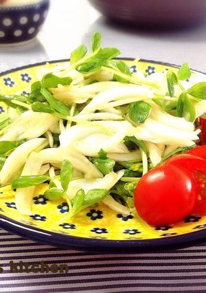 新玉ねぎと豆苗のさっぱり生姜サラダ-レシピのメイン写真