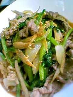 小松菜とごぼうのカレーみそ炒め-レシピのメイン写真