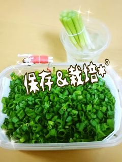 エコ!万能ねぎ*保存&栽培しよ~♬-レシピのメイン写真