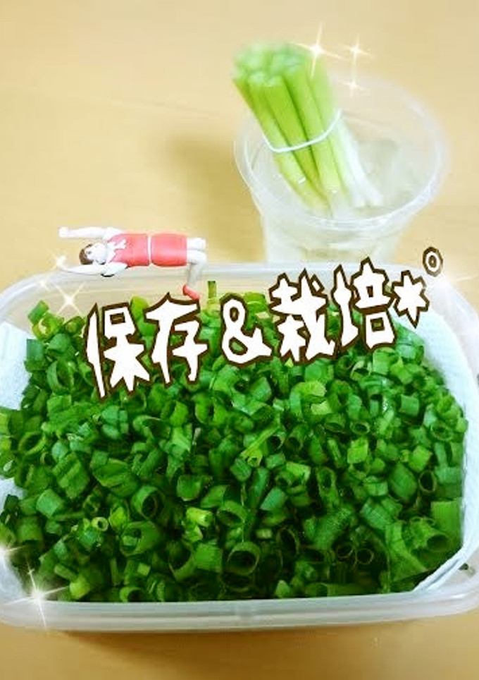 エコ！万能ねぎ＊保存＆栽培しよ～♬-レシピのメイン写真
