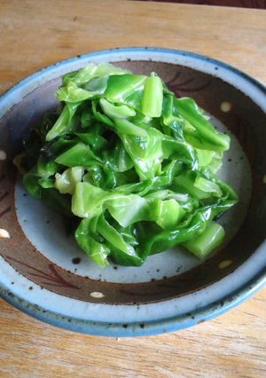 春キャベツ 外葉 漬け物サラダ-レシピのメイン写真