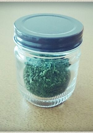 ドライパセリ＊手作りして常備-レシピのメイン写真