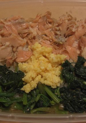 ブルキナファソ丼　～世界の国旗弁当②～-レシピのメイン写真