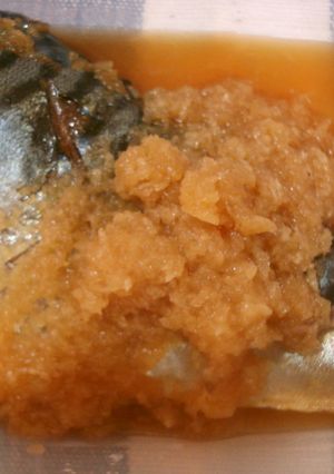 鯖のおろし煮-レシピのメイン写真