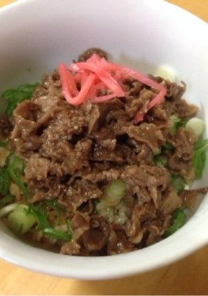 ネギ飯〜京都の○坊主風〜-レシピのメイン写真