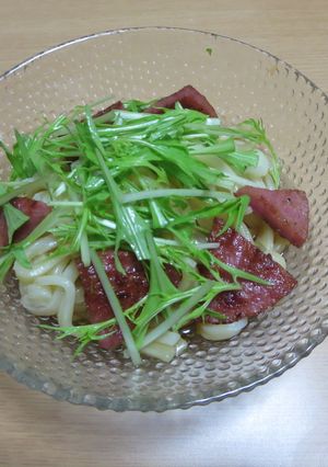 特製うどん-レシピのメイン写真