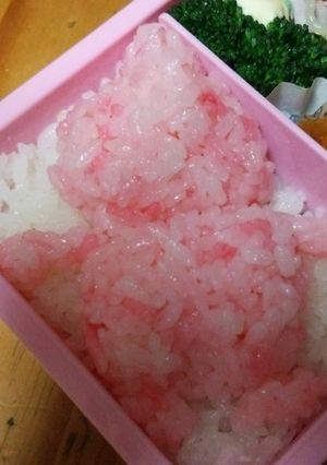 後ろ姿カクレモモジリ-レシピのメイン写真