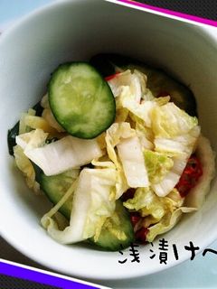 簡単☆浅漬け♪-レシピのメイン写真