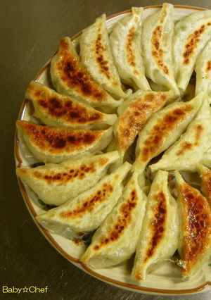 野菜たっぷり☆福島円盤餃子-レシピのメイン写真