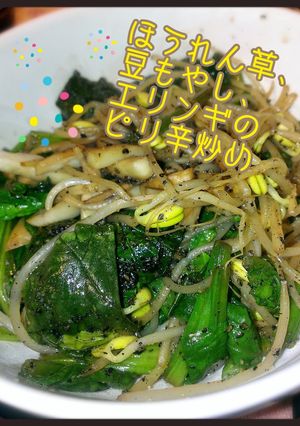 ほうれん草、豆もやし、エリンギのピリ辛炒-レシピのメイン写真