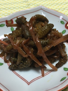 春到来!つくしの佃煮-レシピのメイン写真