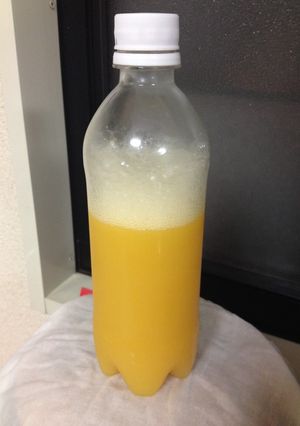 ★自家製酵母液で作る炭酸ジュース★-レシピのメイン写真
