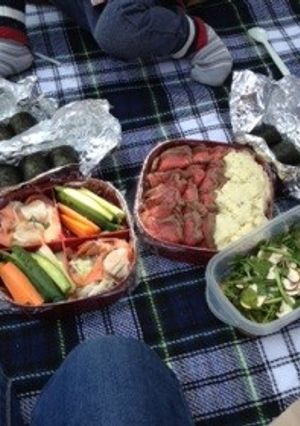 2014 お花見弁当-レシピのメイン写真