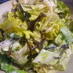 たった三つの材料で作る白菜サラダ♪-レシピのメイン写真