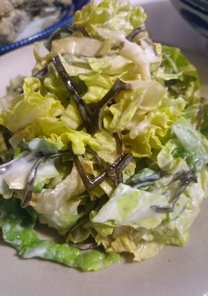 たった三つの材料で作る白菜サラダ♪-レシピのメイン写真