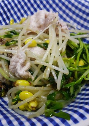 もやしと豆苗のサラダ-レシピのメイン写真