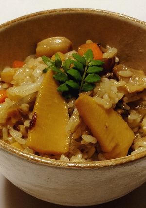 竹の子混ぜご飯、吉野の鷄めし風-レシピのメイン写真
