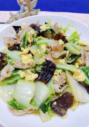 簡単白菜と豚バラ肉の炒めもの♬美味☆-レシピのメイン写真