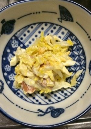 白菜サラダ-レシピのメイン写真