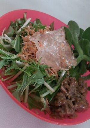 ★さっぱりジュレサラダ★-レシピのメイン写真