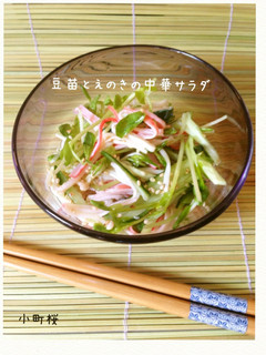 豆苗と水菜のさっぱり中華サラダ-レシピのメイン写真