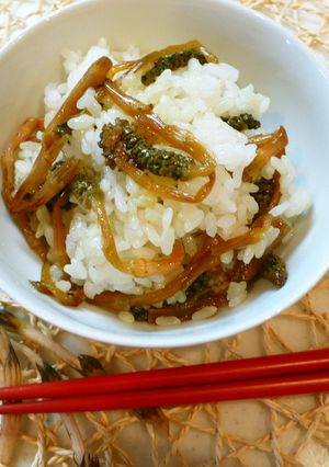 春を食べよう♪つくしご飯❀-レシピのメイン写真