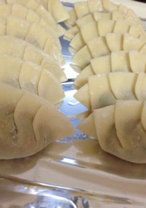 あたしの餃子♪-レシピのメイン写真