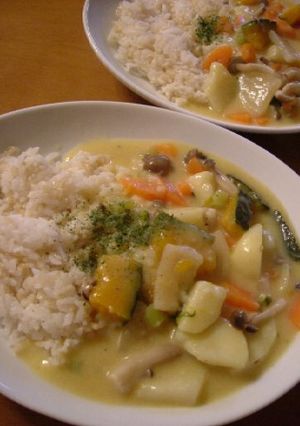手作り豆乳シチュー-レシピのメイン写真