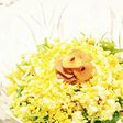春を告げる*ミモザサラダ