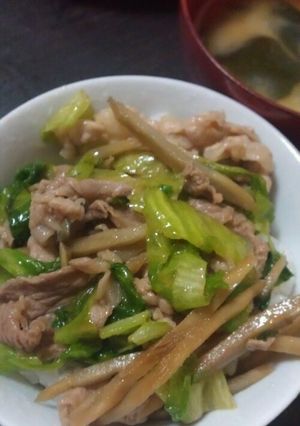肉野菜炒め☆豚肉・レタス・ごぼう-レシピのメイン写真