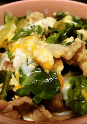 キャベツの外葉で他人丼♪-レシピのメイン写真