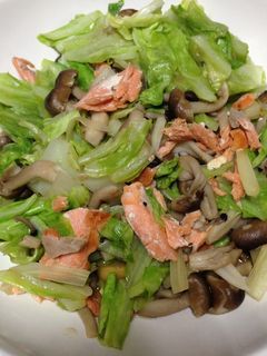 キャベツとサーモン炒め-レシピのメイン写真