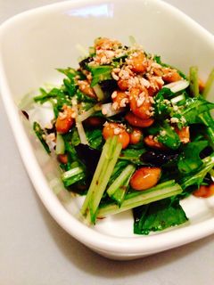 納豆と水菜のサラダ-レシピのメイン写真