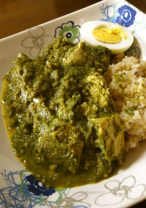 本格！究極ヘルシー サグカレー-レシピのメイン写真