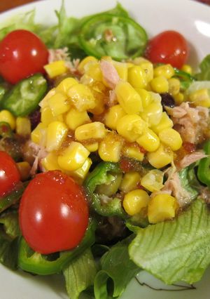 ６品目の彩り野菜サラダ-レシピのメイン写真