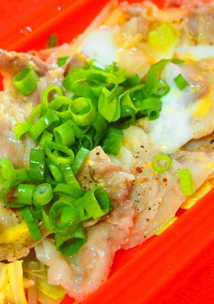 豚バラ薄切り肉ともやしの卵蒸し焼き-レシピのメイン写真