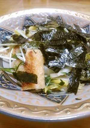 白菜と水菜と油揚げのサラダ-レシピのメイン写真