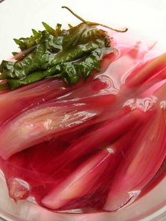 朱鷺色♡ミョウガの甘酢漬け-レシピのメイン写真