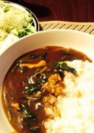 お蕎麦屋さんの味？和風ほうれん草カレー-レシピのメイン写真
