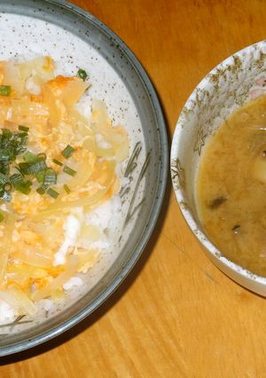 たまご丼、手抜きレシピ-レシピのメイン写真